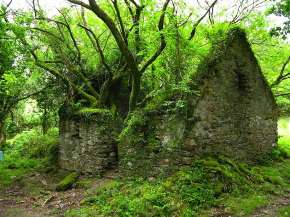 Une maison sur le Kerry Way, sentier pédestre entre Sneem et Kenmare en Irlande