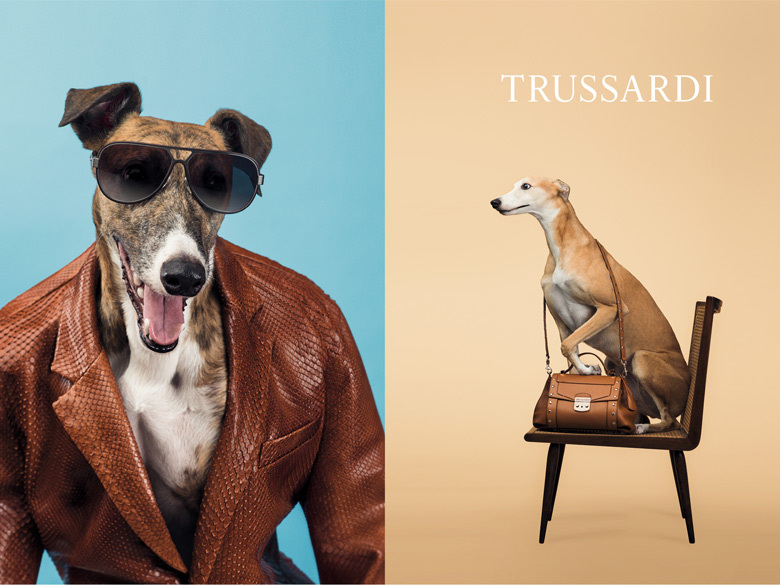 Des chiens posent pour Trussardi