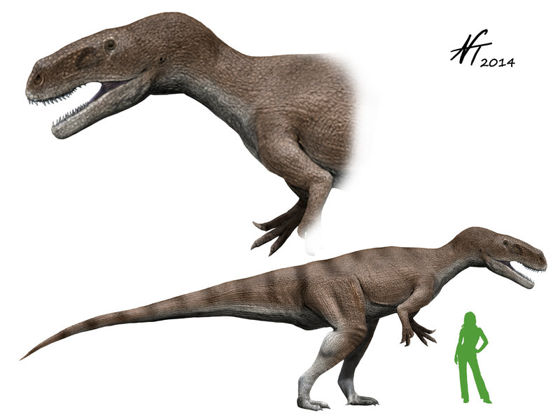 Torvosaurus Gurneyi