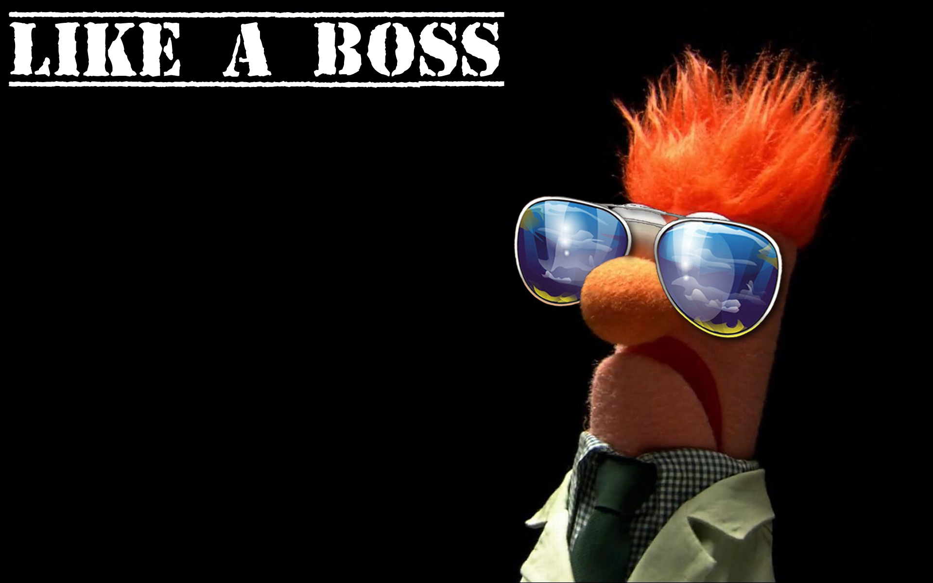 Like a boss