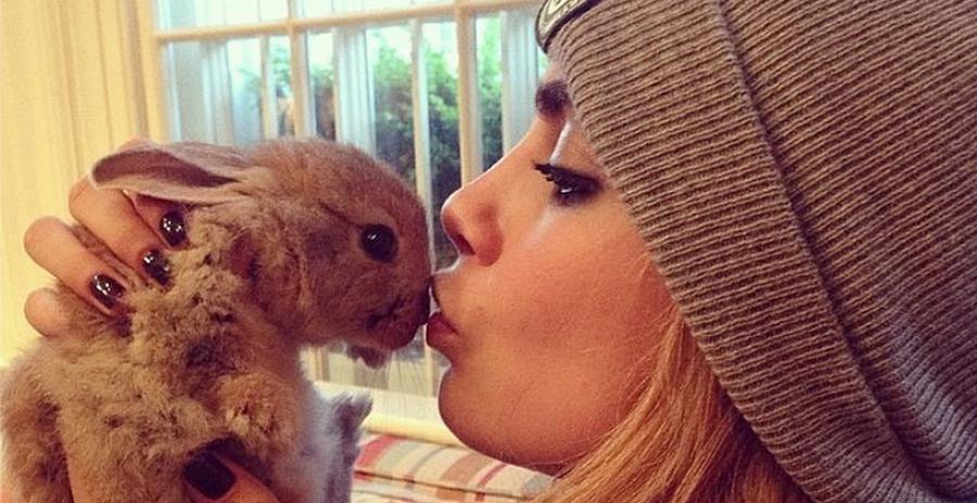 cara delevingne et son lapin