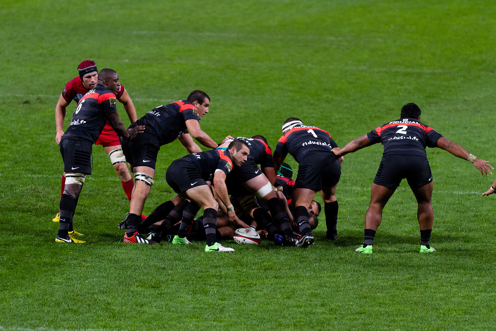 Rugby Stade Toulousain vs RC Toulon en direct streaming live