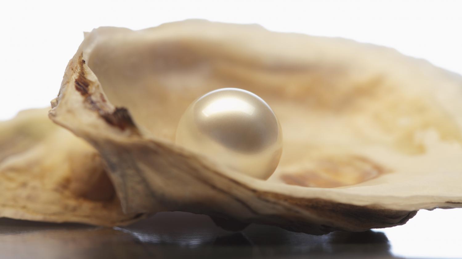 Au marché de Saint-Jory, une habituée a trouvé deux perles dans les huîtres