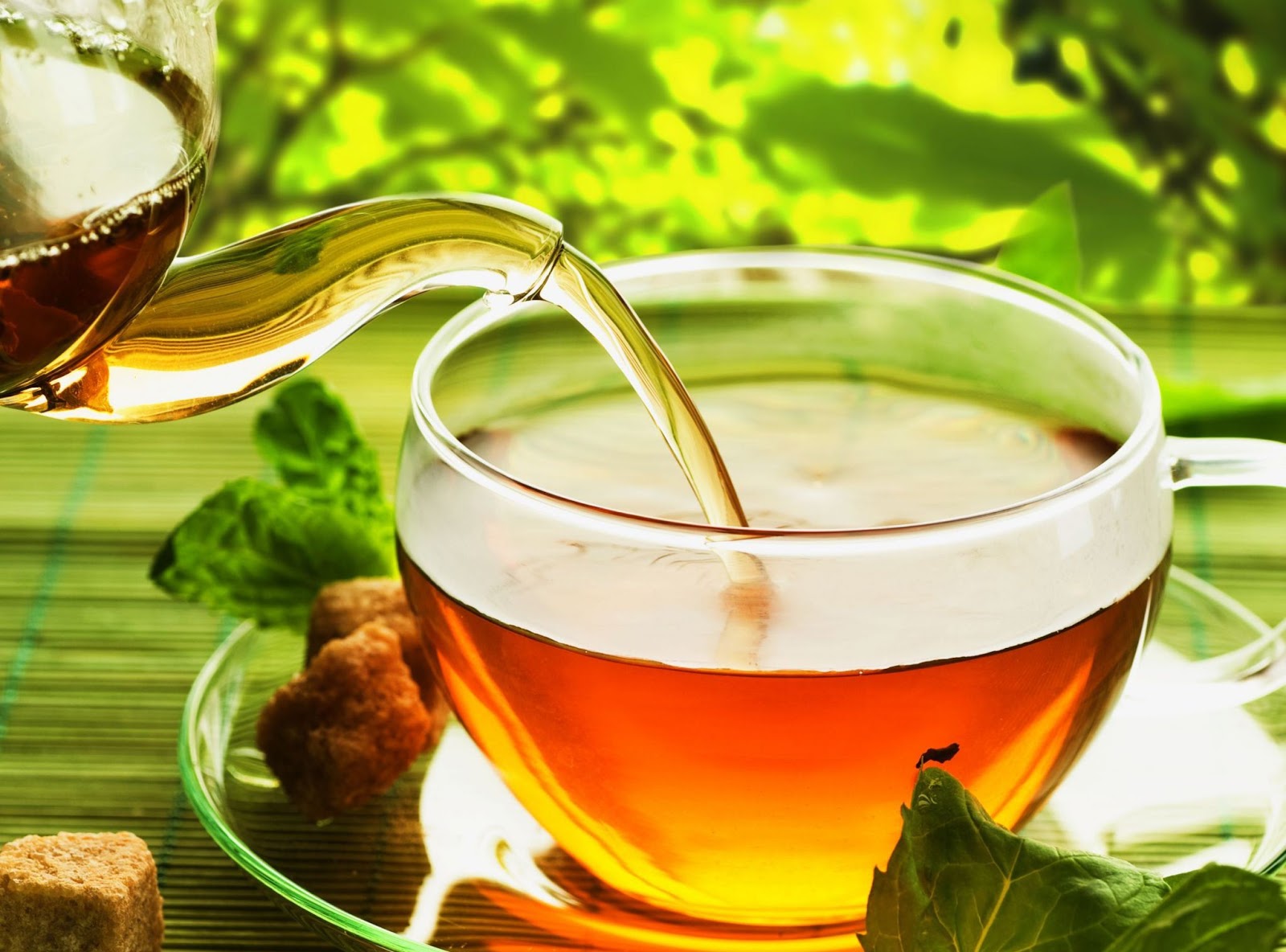 L’effet bénéfique du thé vert sur les cellules tumorales du cancer de la bouche