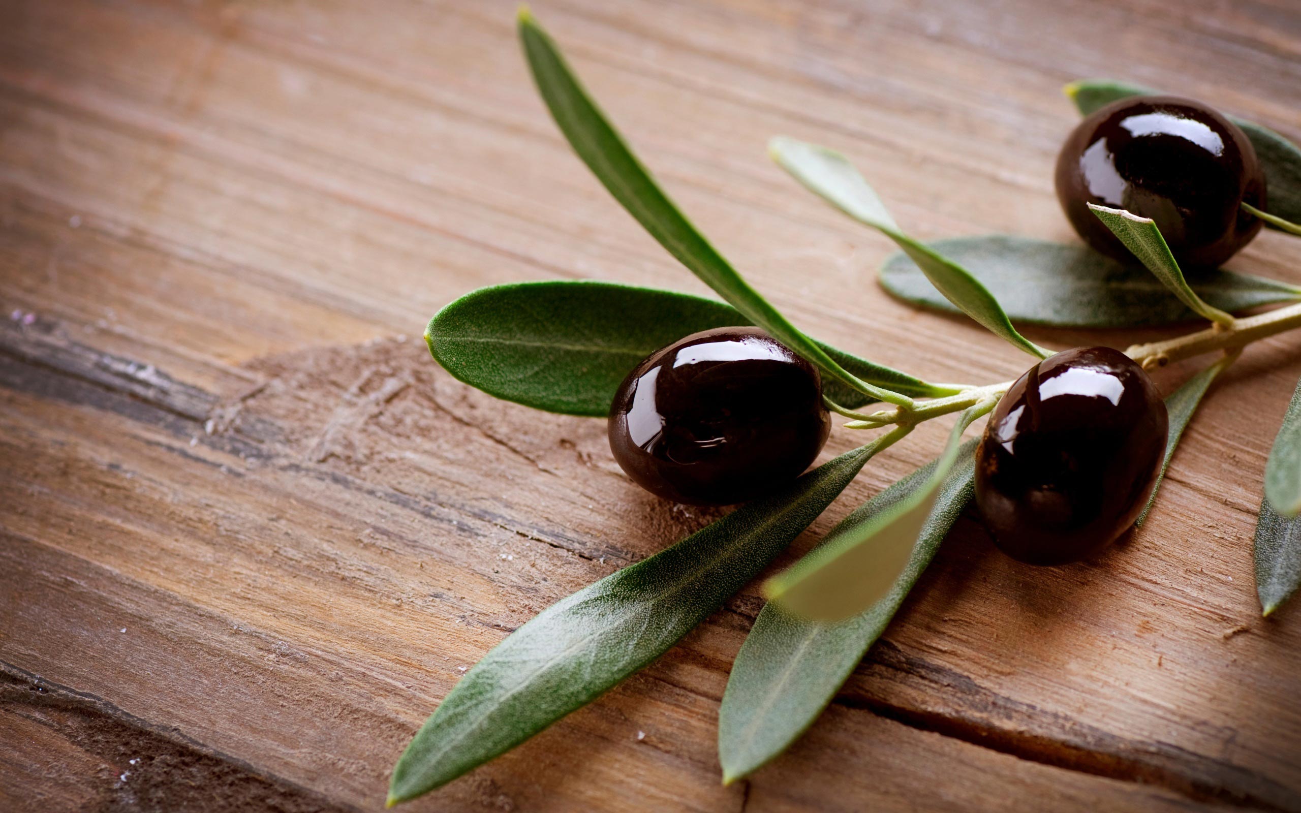 Pourquoi consommer des olives