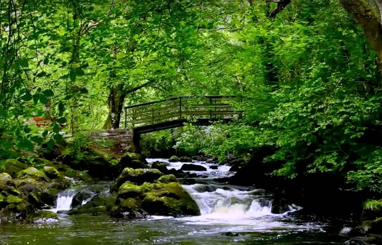 La cascade irlandaise qui aide 6 millions d'insomniaques