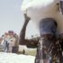 Pepsico soutient le programme mondial d'assistance alimentaire d'urgence en Libye