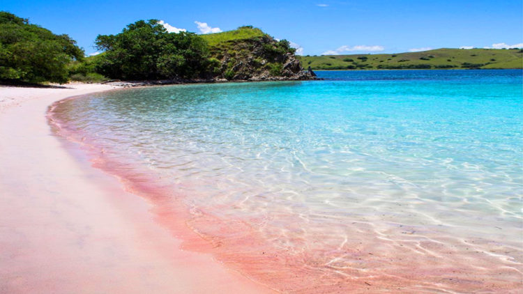 Pink Beach - Zamboanga - Philippines