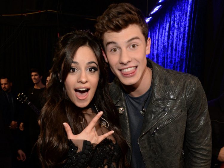 Shawn Mendes - Camilla Cabello